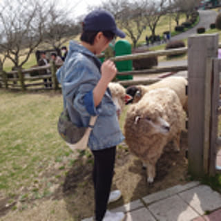 kmnn