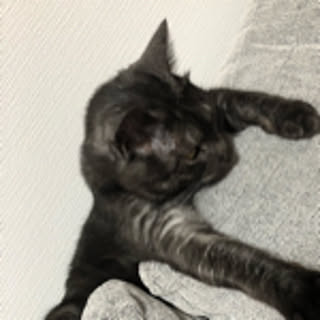 A_Mm