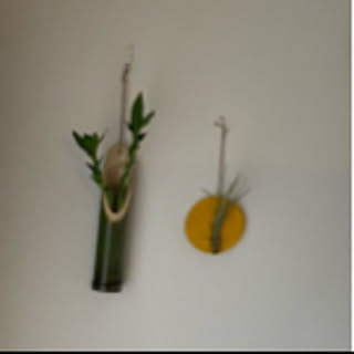 plant-happiness