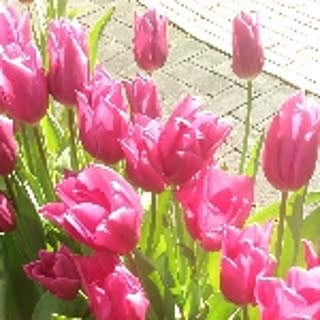 10mom