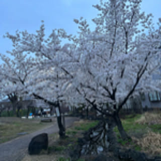 kuroxkuroxall