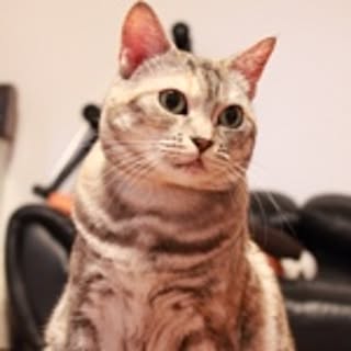 aki