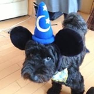 Osamu