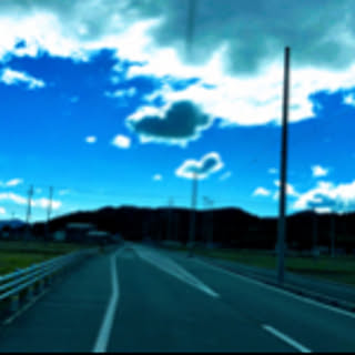 kuromame