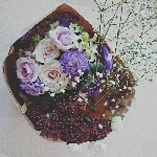 mi.fff