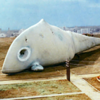 sakana