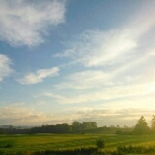 rara