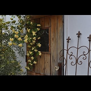 axcis garden & reform
