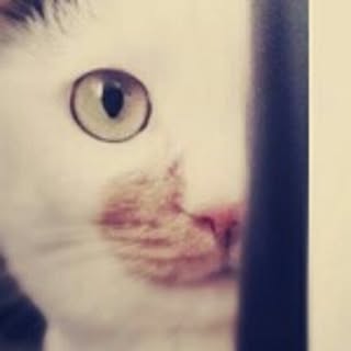 moso