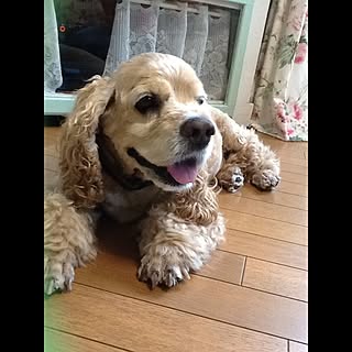 Annie