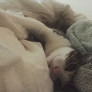 yuka_pfm