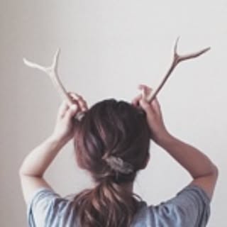 t_feb