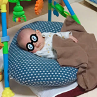 nobisuke