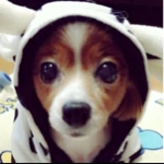 kaoru.disney.ex3jsb