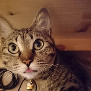 rara