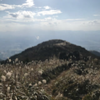 nakabarukko