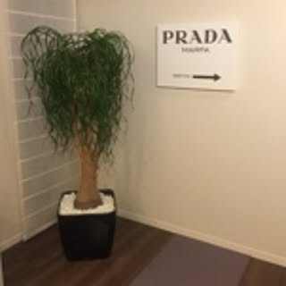 pom