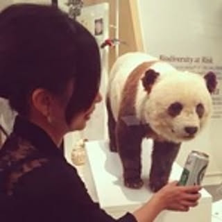 Yukimi