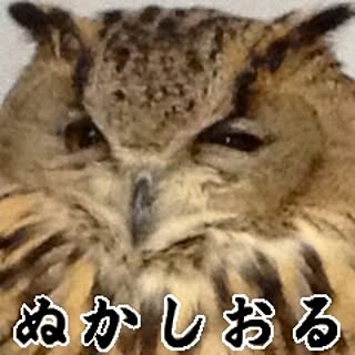 MAG_nesium56