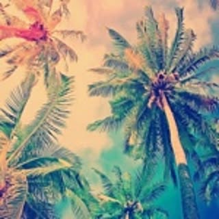 makiiipo