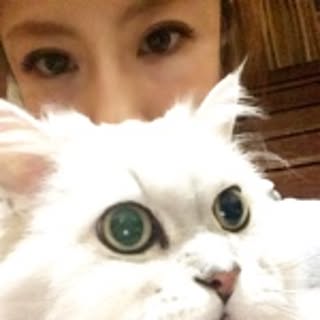 roko