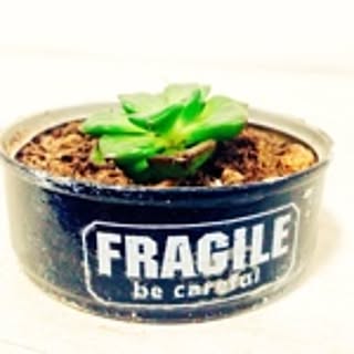 Pricolage