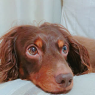 choco