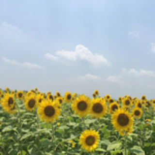 nagi