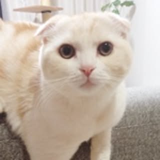 marizou