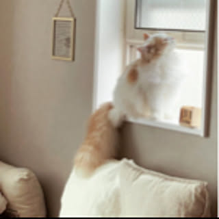 Hiro