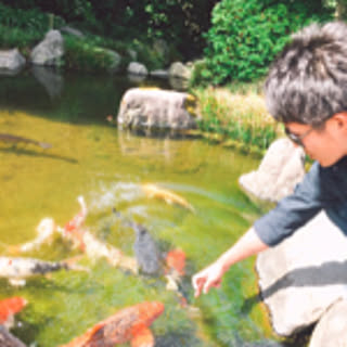 furu