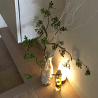 tuino-sumika