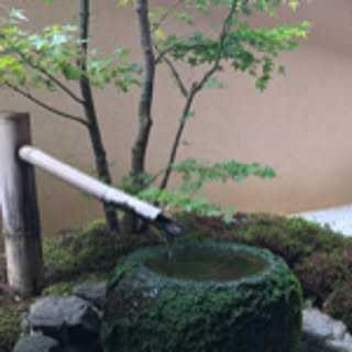 sugitaku