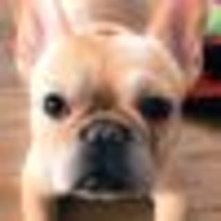 Ambrewebsite