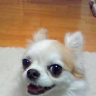 lukuri