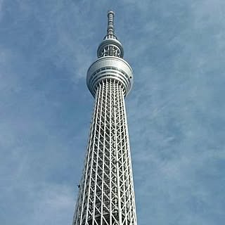 sky862311