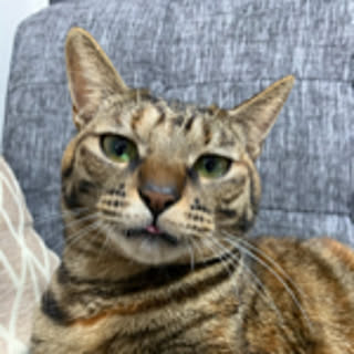 mumu