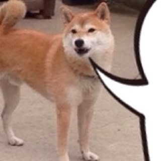 SkowYk