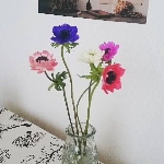 nemu_603