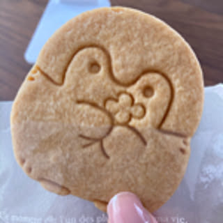 arinomi