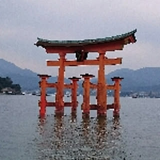 y_kono