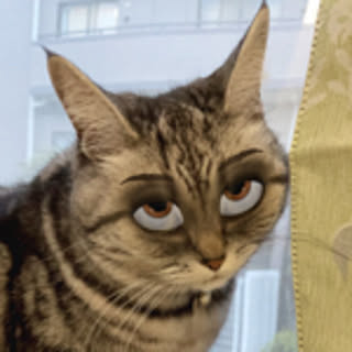 yoshibooh