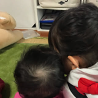 yojagkjm