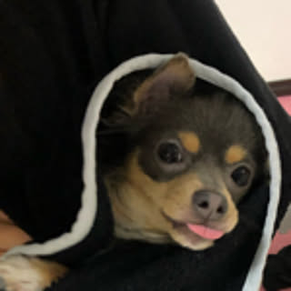 kure