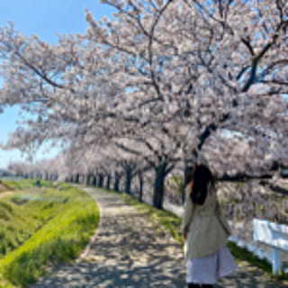 Hitomi