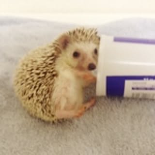 non-non