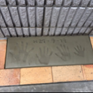 km0806