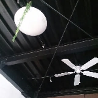 tomo