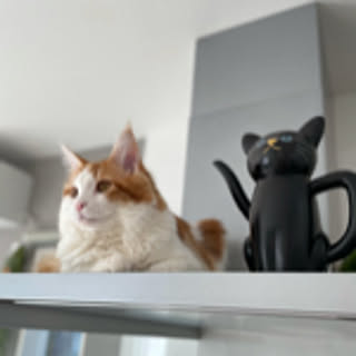 uko