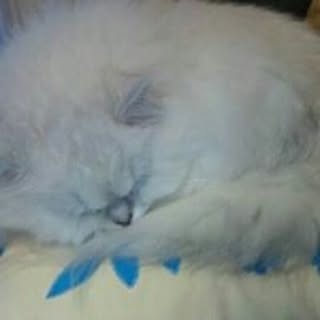 Hiroko